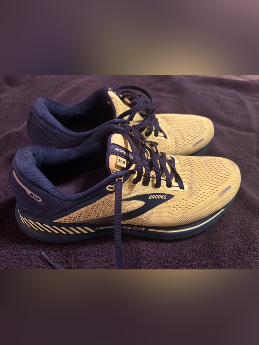 Brooks adrenaline GTS 22